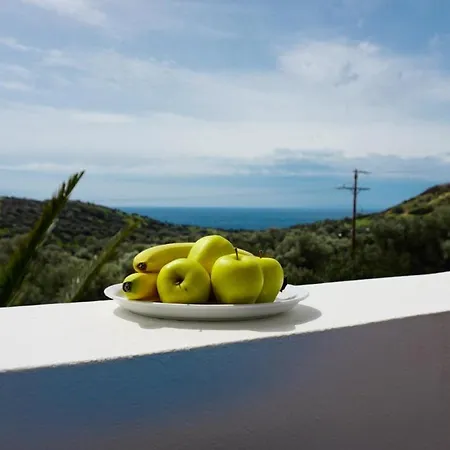 Villa Alexander 1